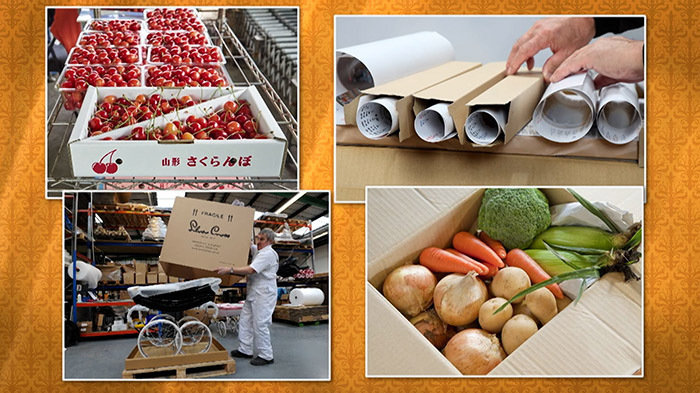 DASH ご当地PR課 ～第1回DASHデミー賞～｜ザ！鉄腕！DASH!!｜日本テレビ