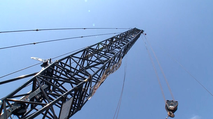 Dash海岸 森の海プロジェクト ザ 鉄腕 Dash 日本テレビ