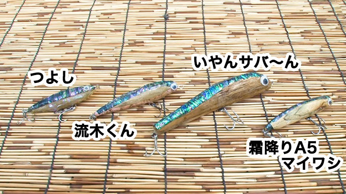 Dash海岸 虹の魚 ザ 鉄腕 Dash 日本テレビ