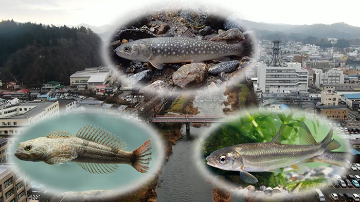 グリル厄介 ～暴食ブルドーザー～｜ザ！鉄腕！DASH!!｜日本テレビ