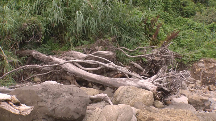 Dash島 無人と化した 無人島の異変 ザ 鉄腕 Dash 日本テレビ