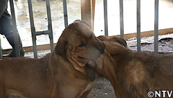 道草を食いながらどこまで行けるか