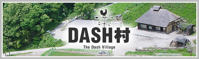 ザ 鉄腕 Dash 日本テレビ