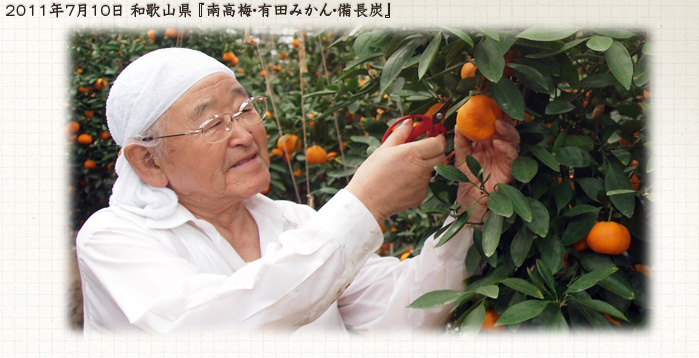 2011年7月10日 和歌山『南高梅・有田みかん・備長炭』