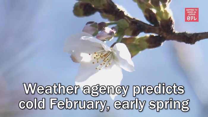Weather agency predicts cold February, early spring