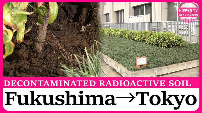 Reconstruction minister inspects reuse of Fukushima's decontaminated soil in Tokyo