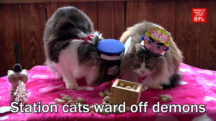 Station cats ward off demons
