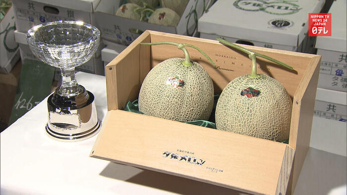 Price of high end Yubari melon fetches one 40th of last season's price