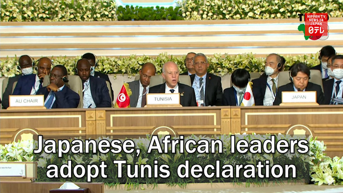 Japanese, African leaders adopt Tunis declaration