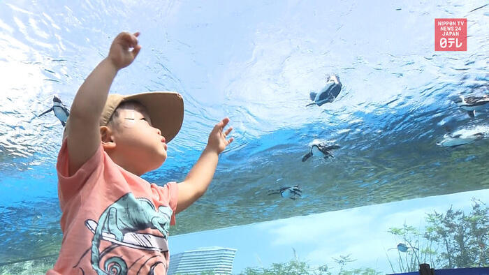 Rooftop aquarium reopens for the first time in 3 month