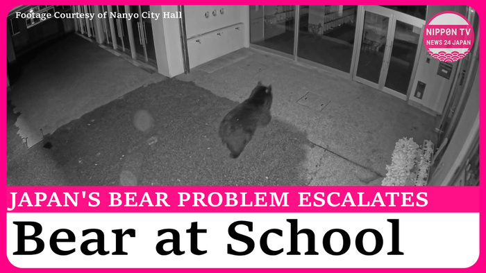 Bear sighting at school north of Tokyo, damages to school property