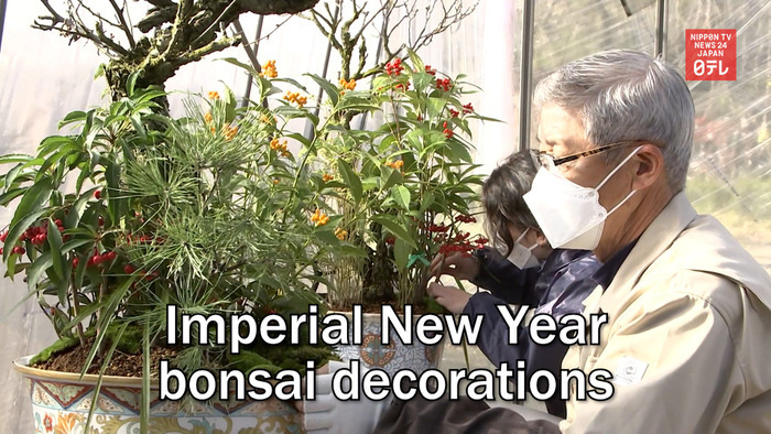 Imperial New Year bonsai decorations