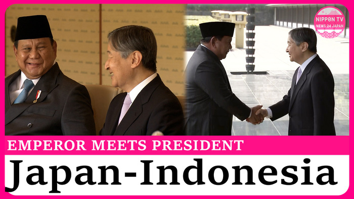 Japanese Emperor welcomes Indonesian President at Imperial Palace