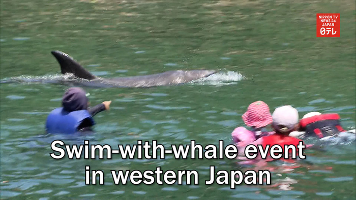 Swim-with-whale event in western Japan
