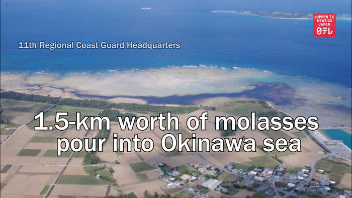 1.5-km worth of molasses pour into Okinawa sea