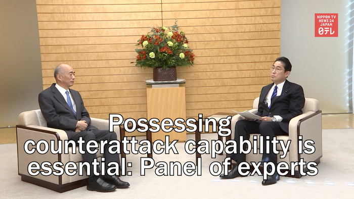 Possessing counterattack capability is essential: Panel of experts