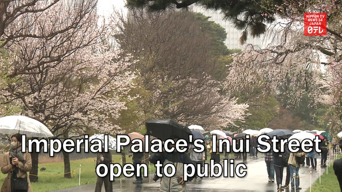 Imperial Palace's Inui Street open to public