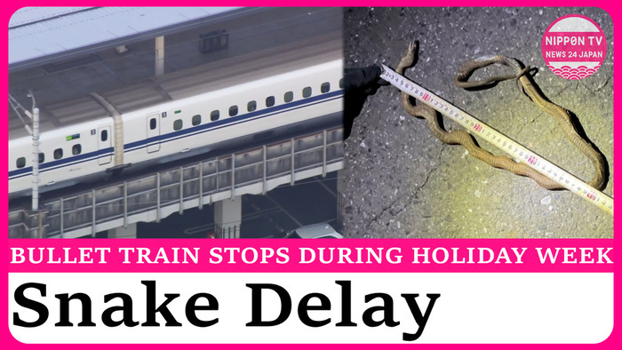 Bullet trains delayed by snake-caused power outage during Golden Week holidays