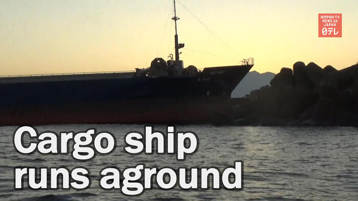 Cargo ship runs aground in central Japan