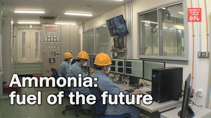 Ammonia as fuel of the future