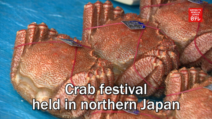 Crab festival held in northern Japan