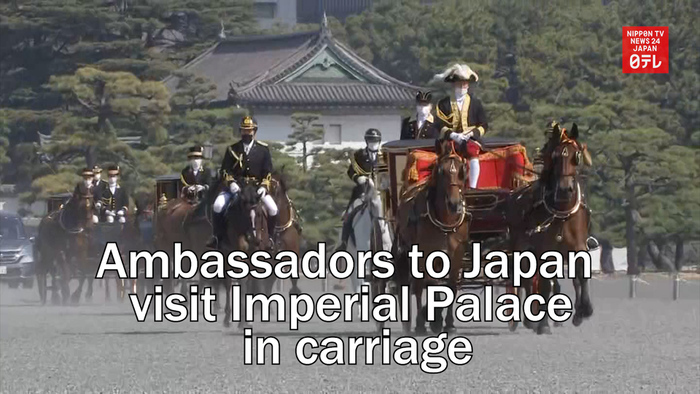 Fiji and Pakistan ambassadors to Japan visit Imperial Palace in carriage