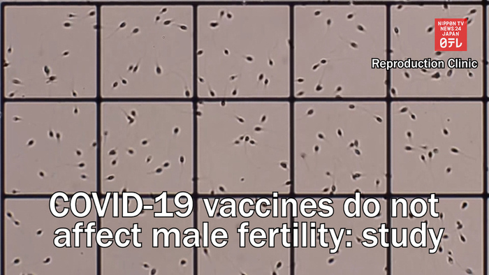 Study shows COVID-19 vaccines do not affect male fertility