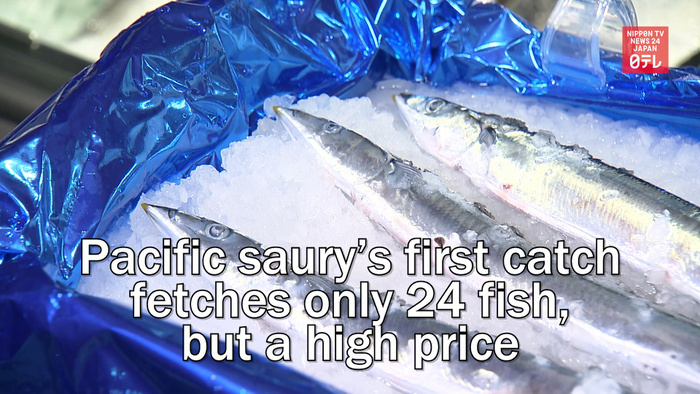 Pacific saury first catch of the season fetches only 24 fish, but a high price