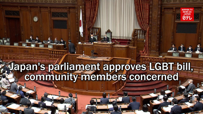 Japan's parliament approves LGBT bill, community members concerned
