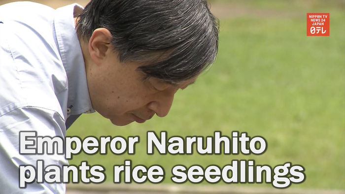 Emperor Naruhito plants rice seedlings at Imperial Palace