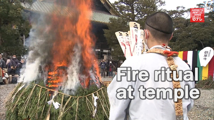 Fire ritual at Naritasan temple | Nippon TV NEWS 24 JAPAN