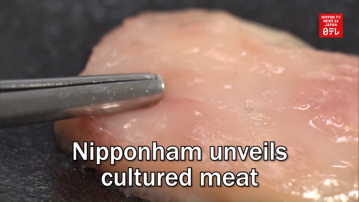 Nipponham unveils cultured meat