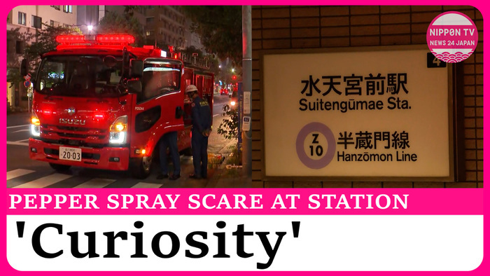 Pepper spray sprinkled at Tokyo Metro station 'out of curiosity,' one injured