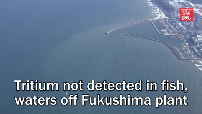 Tritium not detected in fish, waters off Fukushima plant