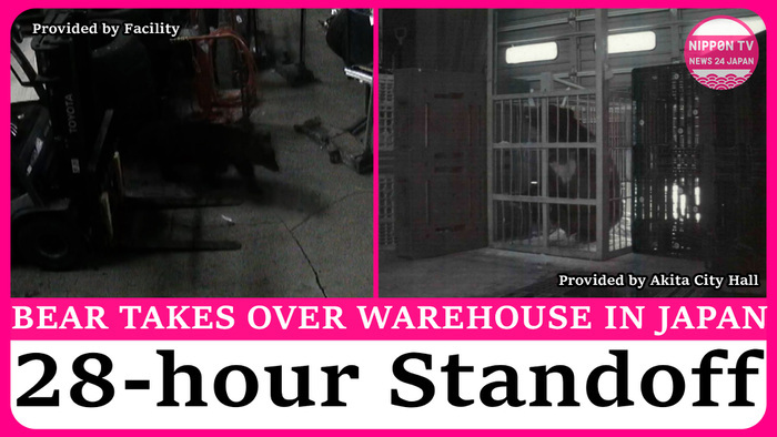 Bear captured after 28-hour standoff in northern Japan