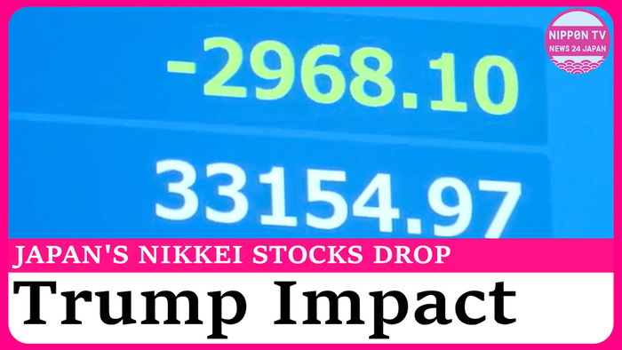 Japanese stocks plunge on Trump tariffs impact