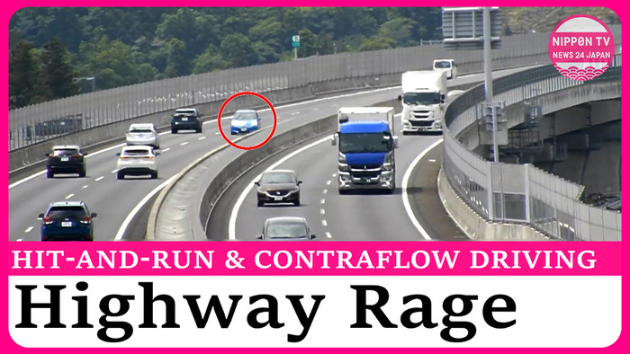 Peruvian national arrested for hit-and-run & contraflow driving 