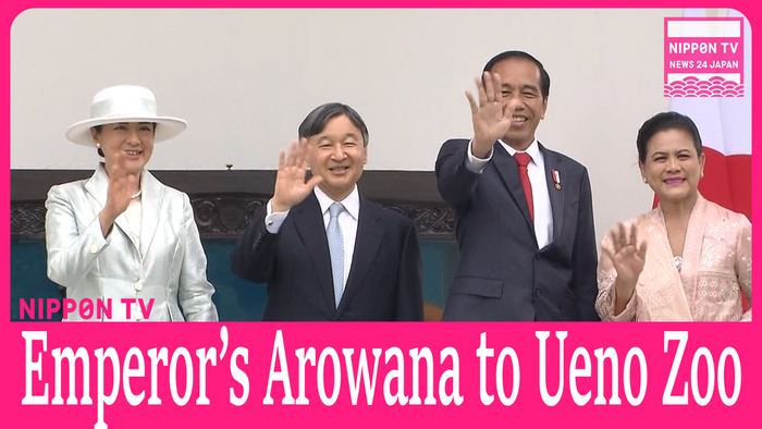 Emperor's Asian arowana to be shown at Ueno Zoo