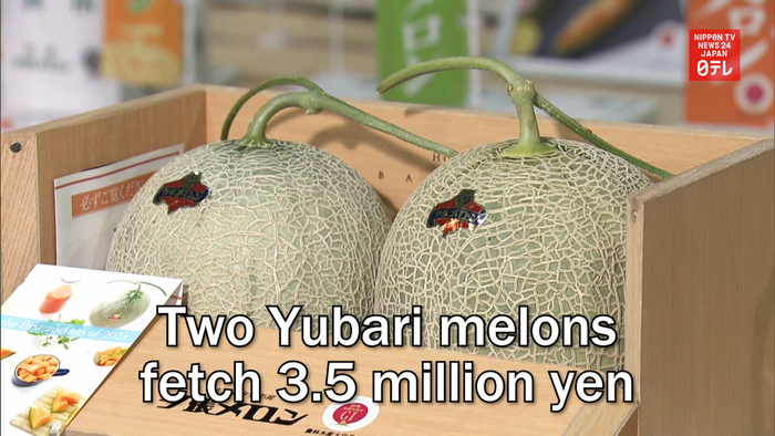 Two Yubari melons fetch 3.5 million yen