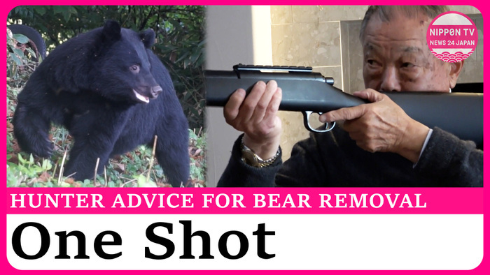 As bear encounters continue in Japan, hunter stresses importance of one-shot removal