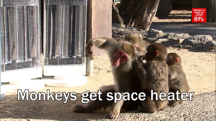 Monkeys in southwestern Japan get space heater   