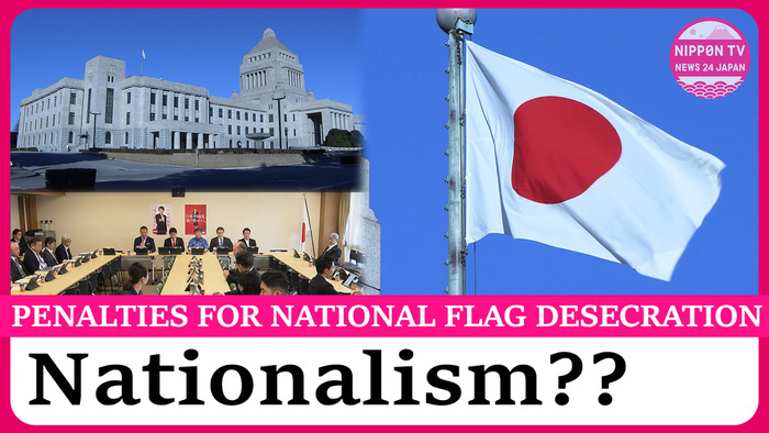 Japan's ruling party moves forward with bill to criminalize national flag desecration