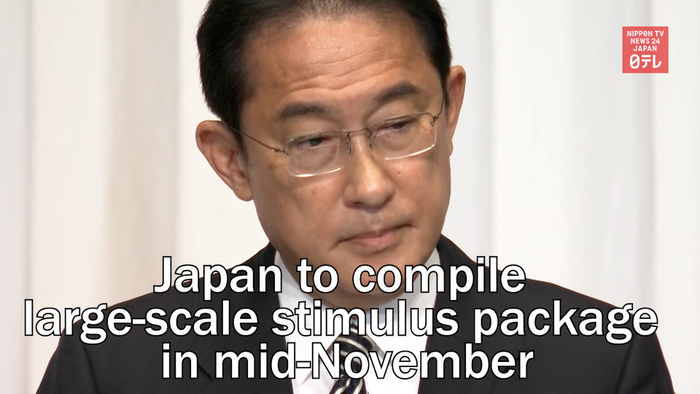 Japan to compile large scale stimulus package in mid November