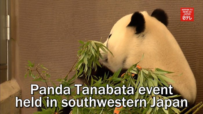 Panda Tanabata event held in southwestern Japan