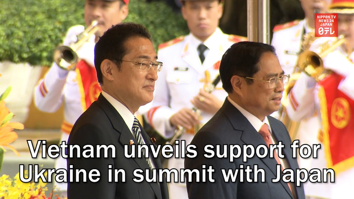 Vietnam unveils support for Ukraine in summit with Japan
