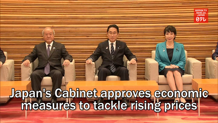 Japan's Cabinet approves economic measures to tackle rising prices