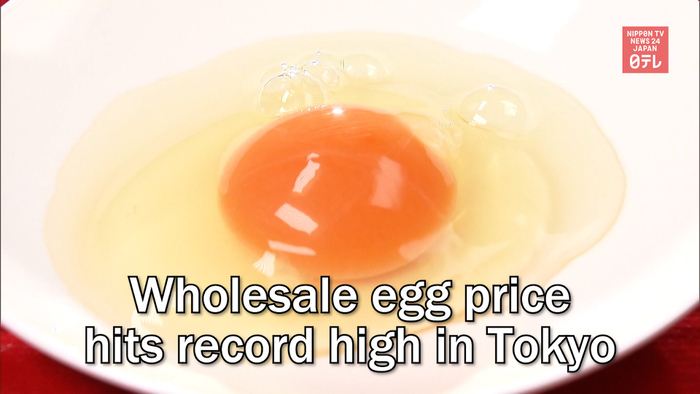 Wholesale egg price hits record high in Tokyo