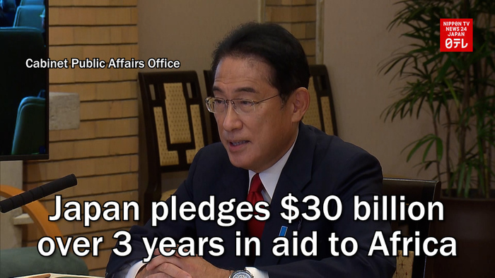 Japan pledges $30 billion over 3 years in aid to Africa