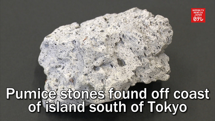Pumice stones found off coast of Torishima south of Tokyo