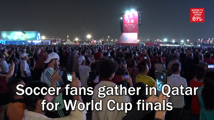 Soccer fans gather in Qatar for World Cup finals